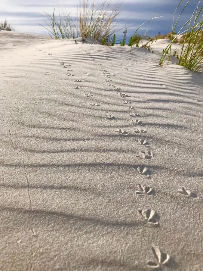 Case Vacanze Il Sogno 2 Porto Pino Bagian luar foto