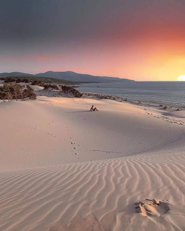 Case Vacanze Il Sogno 2 Porto Pino Ruang foto
